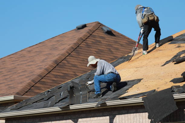 Best Roof Insulation Installation  in Sumter, SC